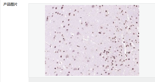 605828a647df4.png image.png