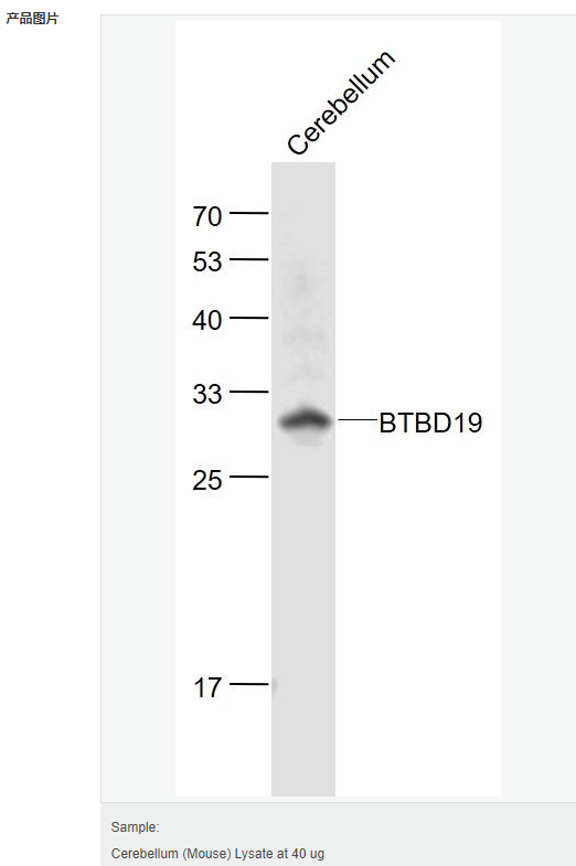 60584980dc995.png image.png