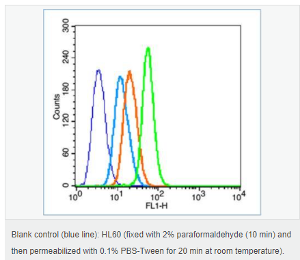 605c3f35122eb.png image.png