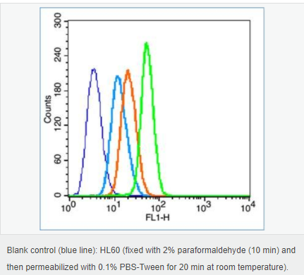 605c451a67f36.png image.png