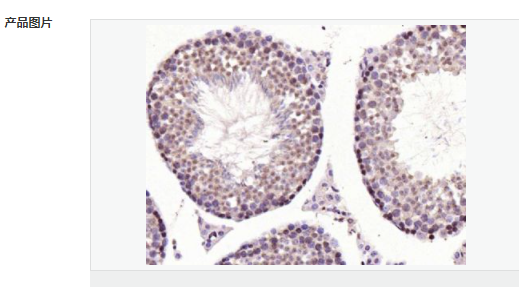 6066b52a9efc5.png image.png