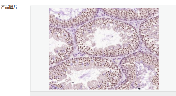 60767bd38aada.png image.png