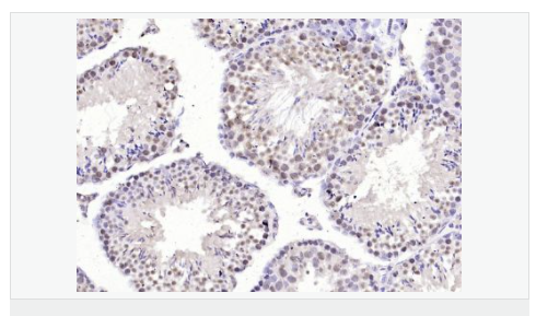 6077a9ba30640.png image.png