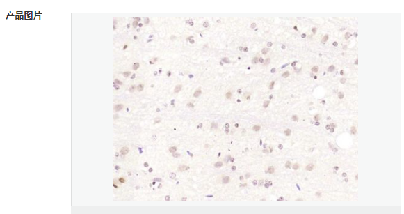 6077aec381702.png image.png